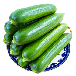 芬果时光 小黄瓜 净重5斤