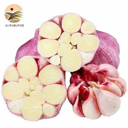 PLUS会员： 苹果红了  新鲜紫皮大蒜 中果500g装