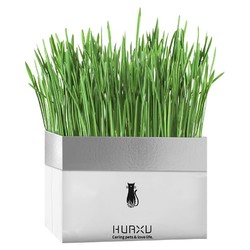 鸿辉远大 营养土猫草 250g