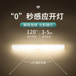 智特 超薄感应灯人体感应灯家用无线安装充电款小夜灯【20CM】白光人体感应款+磁吸