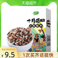 SHI YUE DAO TIAN 十月稻田 三色糙米480g+ Lipton/立顿英式奶茶535ml*4瓶