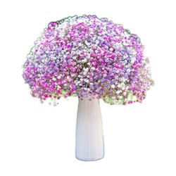 QIJIE 齐洁 满天星干花花束 1束花