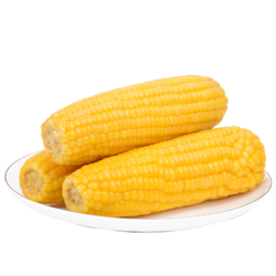 PLUS会员：众天 东北熟糯玉米 10根装（单果约200g）