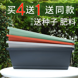竹雅青 霍伦长条盆 小号 8L