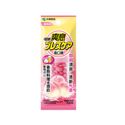 KOBAYASHI 小林制药 咀嚼爽息香口糖 25粒