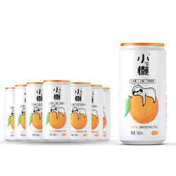 XIAOLAN 小懒 气泡水0糖0脂0卡放松饮料12瓶