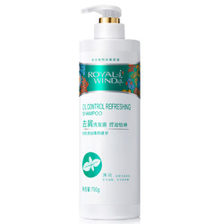 追风 去屑洗发露 控油怡神型 480ml