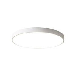 智在 LED吸顶灯 12w