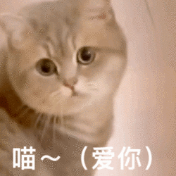 消灭小红包：天猫红包叒来啦！20点开抢，最高可得22888元！