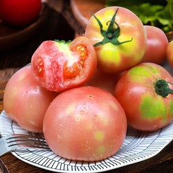 有券的上：GREER 绿行者 沙瓤粉番茄 5斤