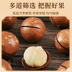LAO JIE KOU 老街口 夏威夷果 500g