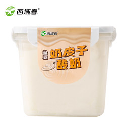 西域春 新品上市新疆西域春奶皮子酸奶1000克桶装低温酸奶益生菌酸牛奶