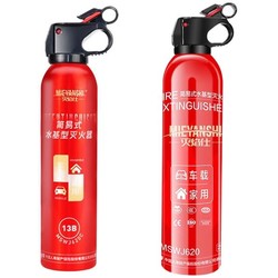 灭焰仕 车载灭火器 620ml