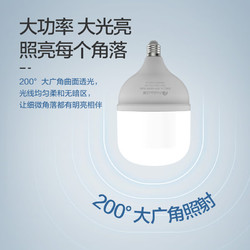 FEIDIAO 飞雕 LED灯泡柱泡节能灯 25W白光 E27大螺口