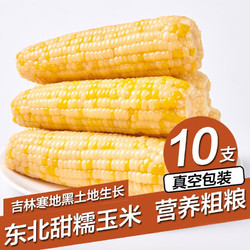 KEEP W-VILLAGE GO 守望乡村 新鲜东北甜糯玉米 200g*10支