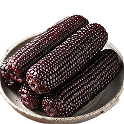 春焕新：发鲜号 东北甜糯黑玉米200g* 10支