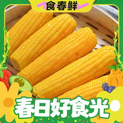麦口希 东北甜糯大玉米 320g*7根