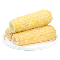 世际德力 新鲜甜糯玉米棒 200g*8根