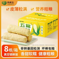 农科玉 农科院东北甜糯玉米 260g*8根