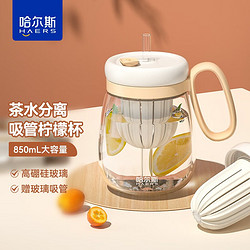 今日必买：HAERS 哈尔斯 玻璃杯泡茶杯 850ml