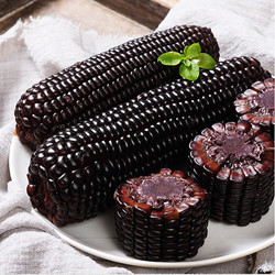 一支鲜 东北黑糯玉米 180g*10棒