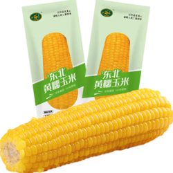 今日必买：珍谷诱惑 东北新黄糯玉米 8支*200g