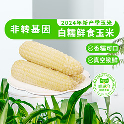 88VIP：喵满分 精选鲜食玉米2024年白糯玉米250g*8根