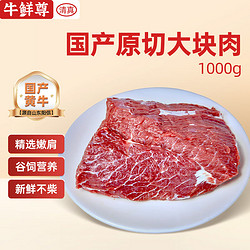 牛鲜尊 国产鲁西黄牛大块牛肩肉 500g*2