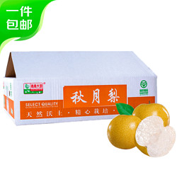 Mr.Seafood 京鲜生 青青大地莱阳秋月梨一级果净重4斤8-10粒单果180g+源头直发包邮