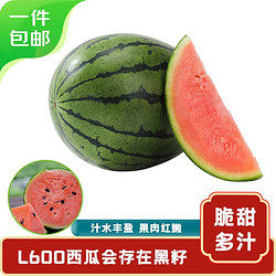Mr.Seafood 京鲜生 特小凤西瓜 黄瓤 2粒 净重4-6斤 单果2斤起 新鲜水果 源头直发