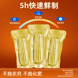邹有才 白甜糯玉米棒220g*10支