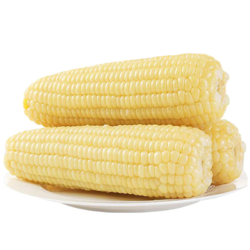 一支鲜 白糯玉米300g-310g*9支