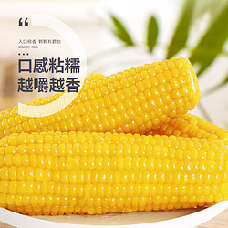 珍谷诱惑 黄糯玉米 2kg*1箱 10支