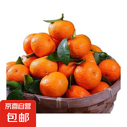 广西 超甜砂糖橘 5斤超甜小果