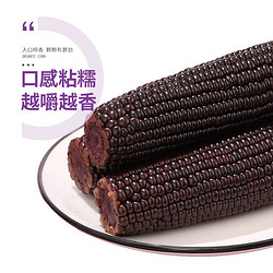 珍谷诱惑 黑糯玉米10支 1.8kg*1箱
