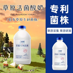 兰格格 草原活菌酸奶1kg/瓶*2