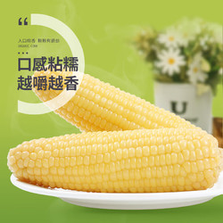 珍谷诱惑 东北甜白糯2kg*1箱10支