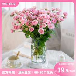 38女神节 玫瑰花康乃馨鲜花 （10支）（40-60朵花头）